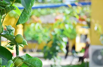 阜陽城南養(yǎng)老中心UPS蓄電池采購項(xiàng)目